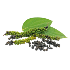 Black Pepper