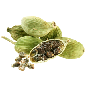 Cardamom