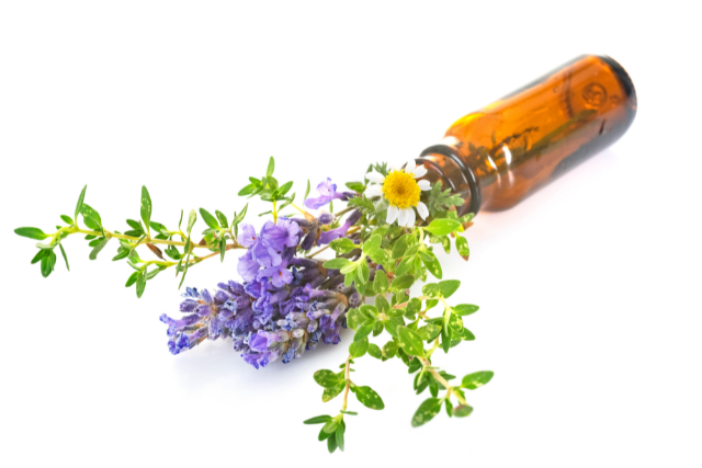 Read more about the article Unveiling the Art of Essential Oil Extraction