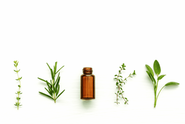 Read more about the article Essential Oils and Bioactive Foods for Radiant Skin and Hair