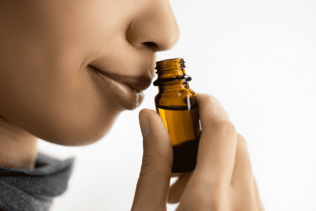 Read more about the article The Sense of Smell